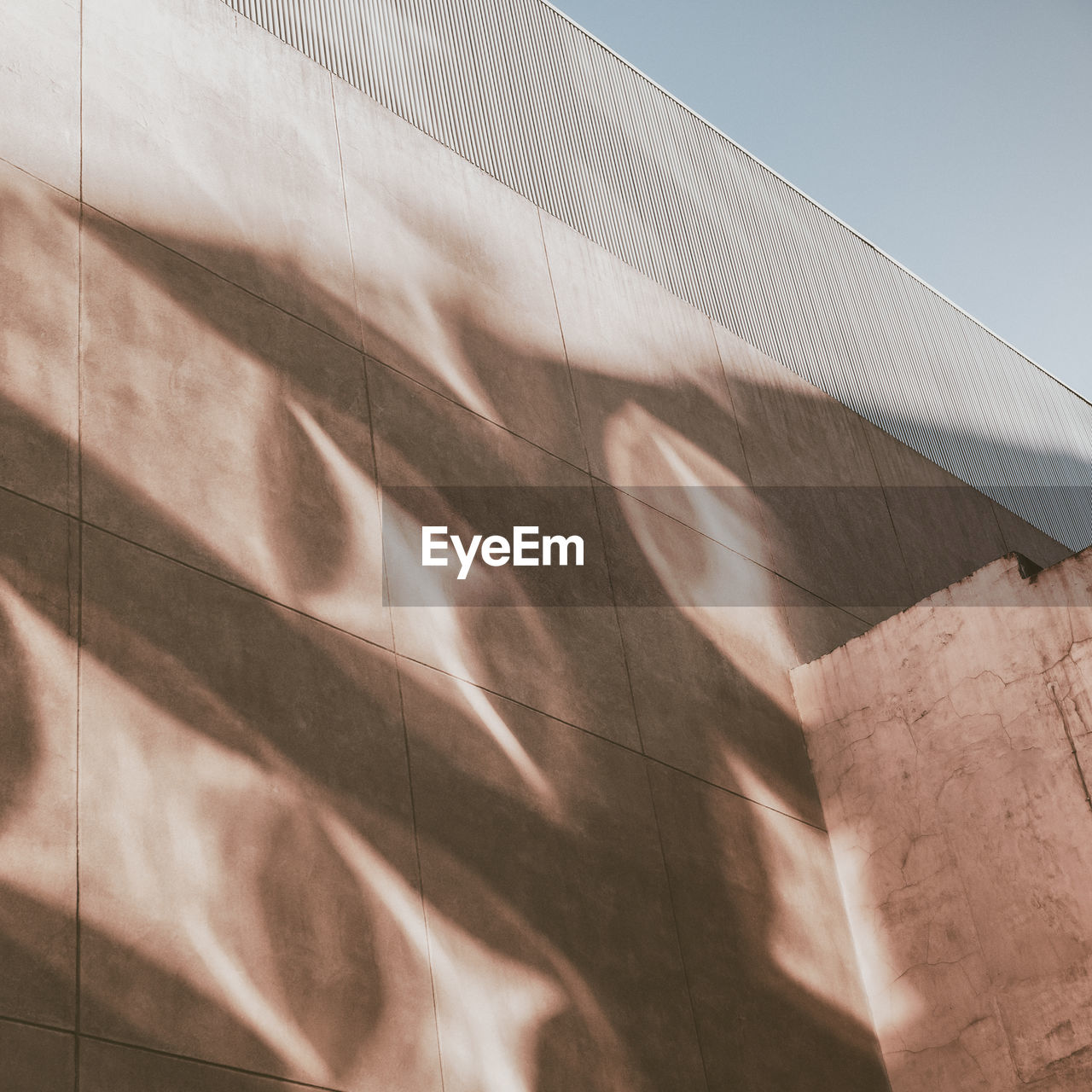 Low angle view of shadow pattern on wall