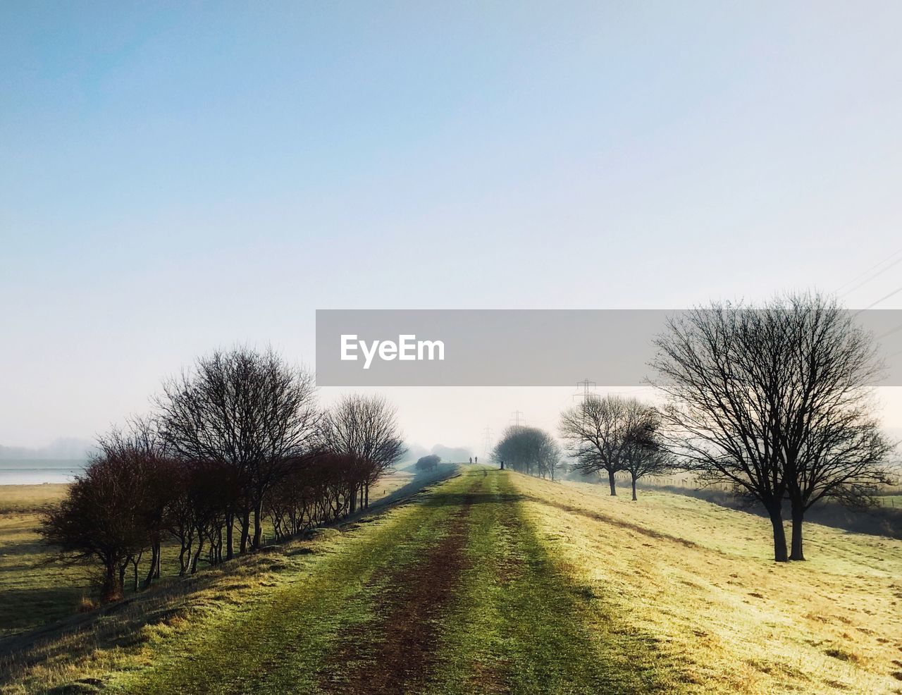 Road amidst trees on field against clear sky