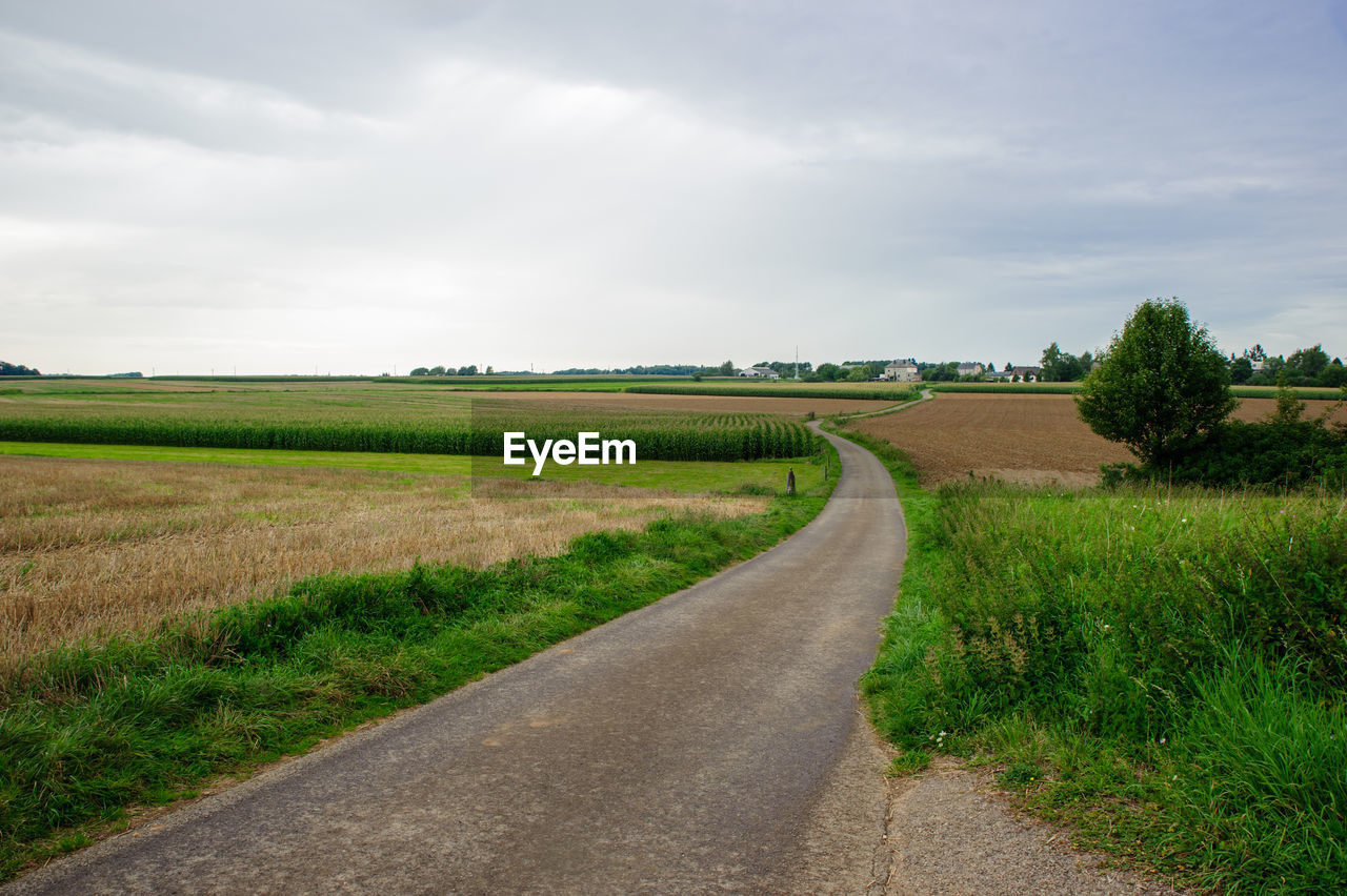 Road amidst agricultural field against sky