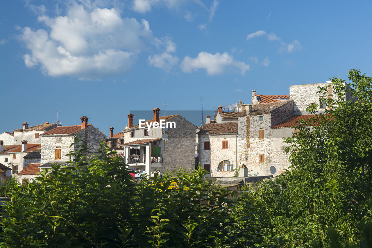 Plants and buildings against sky