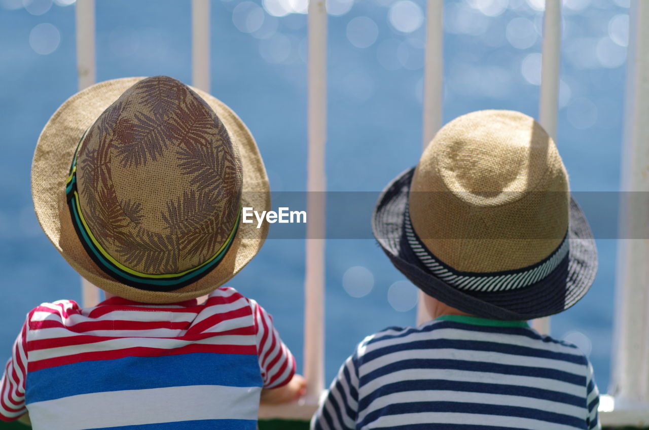 Rear view of brothers wearing hats looking through window