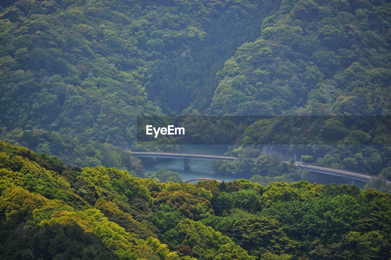 Scenic view of forest with bridge