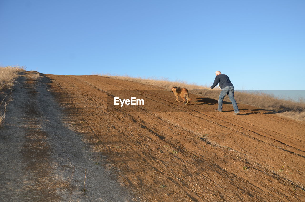Rear view full length of man walking with dog on dirt road against clear sky