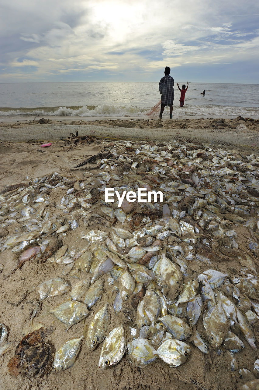 REAR VIEW OF PEOPLE ON BEACH