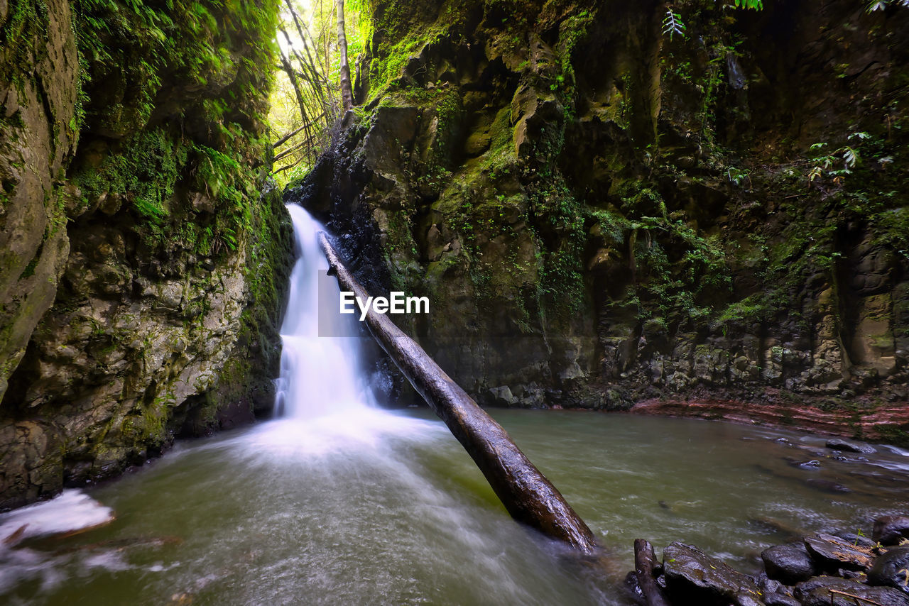water, waterfall, beauty in nature, tree, scenics - nature, forest, nature, plant, motion, body of water, river, long exposure, flowing water, land, stream, water feature, rock, environment, flowing, non-urban scene, rainforest, watercourse, blurred motion, no people, jungle, rapid, water resources, outdoors, autumn, travel destinations, idyllic, creek, day, tranquil scene, travel, green, power in nature, speed, wilderness, falling, tourism, rock formation, tranquility, growth, landscape, moss, ravine
