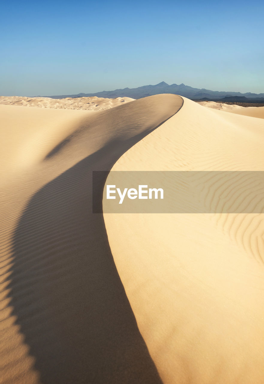 Sand dunes in desert against sky