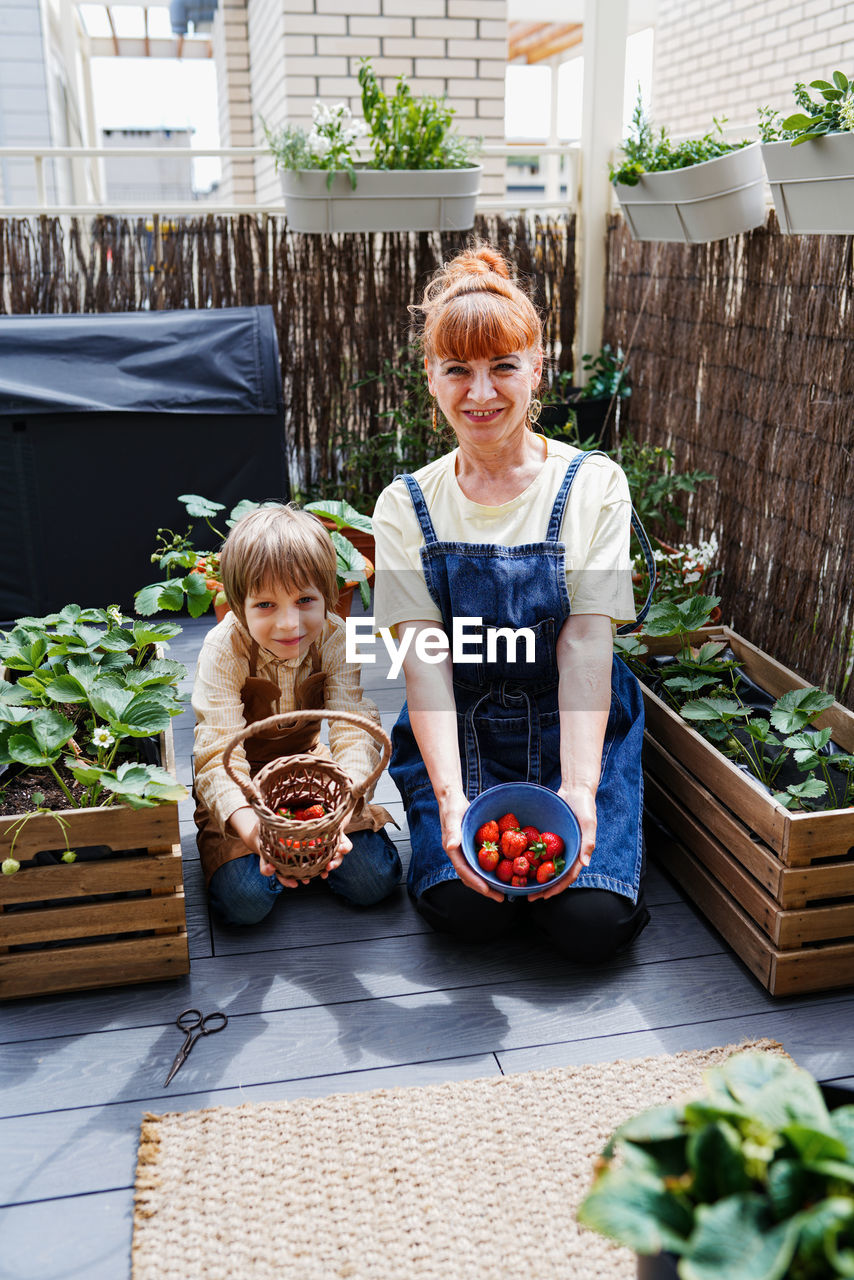 Happy family consisting of a mother and her little son picking strawberries in the backyard garden