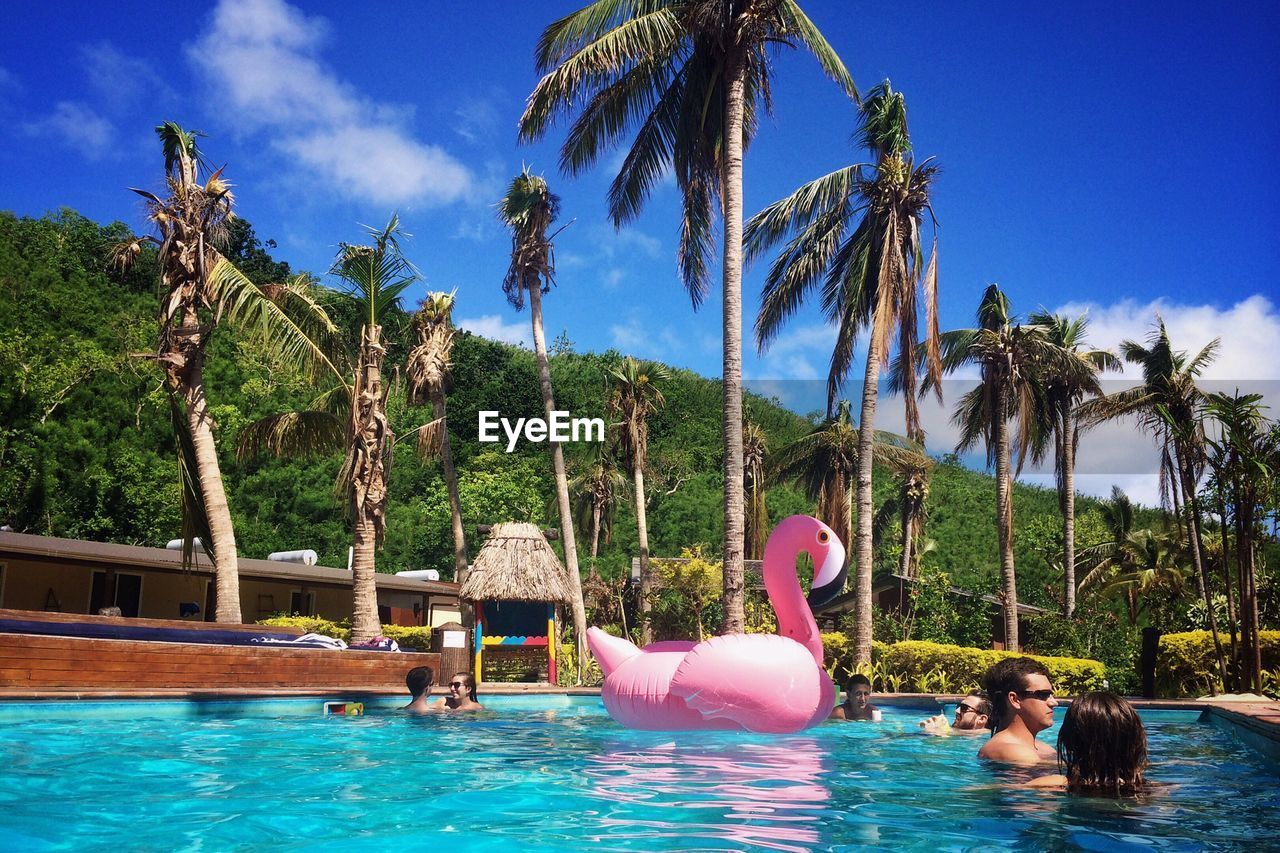 People relaxing in swimming pool with inflatable flamingo