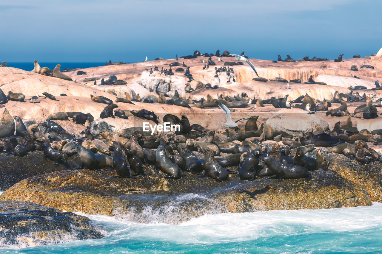 PANORAMIC VIEW OF SEA AGAINST SKY