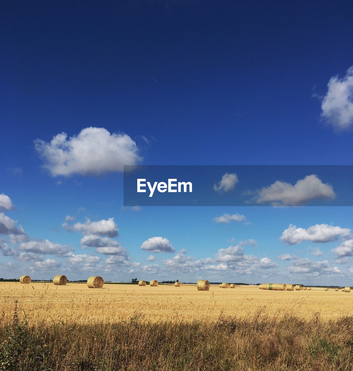 Hay bales on field against blue sky