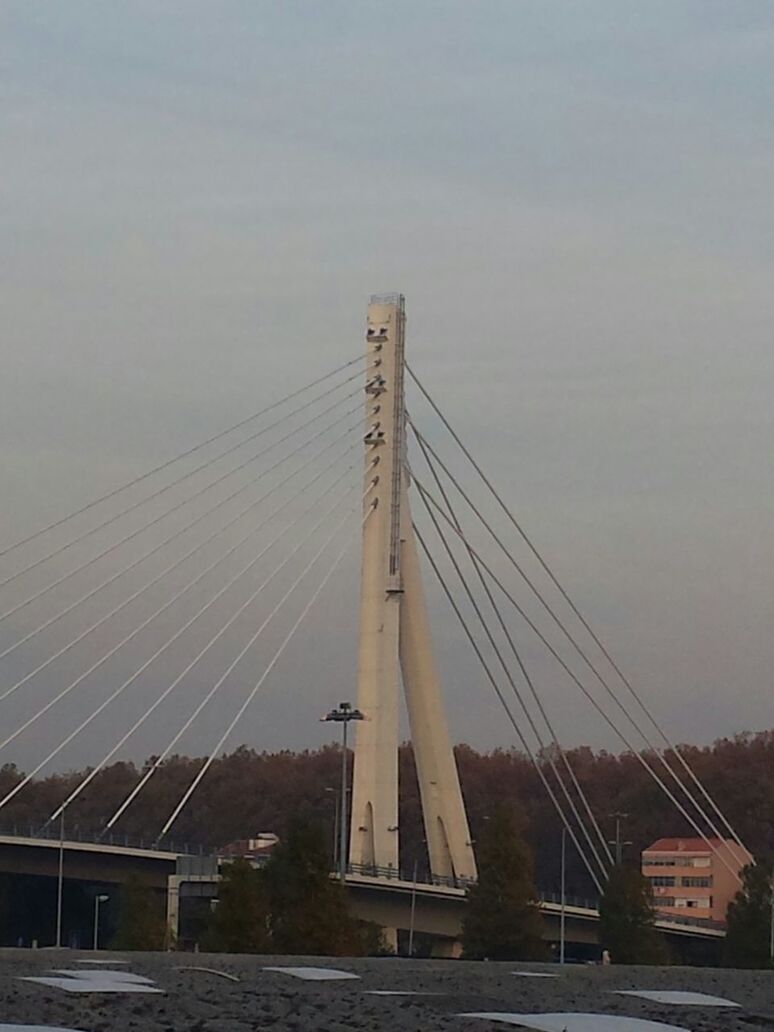 LOW ANGLE VIEW OF SUSPENSION BRIDGE AGAINST SKY