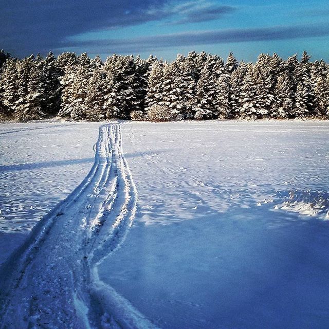 VIEW OF SNOW COVERED LANDSCAPE