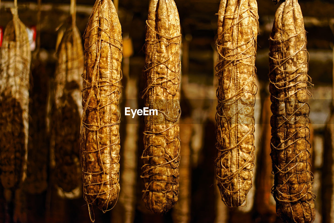 Close-up of salami maturing in the cellar