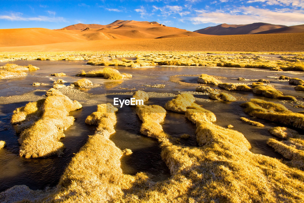 Scenic view of lake against mountain