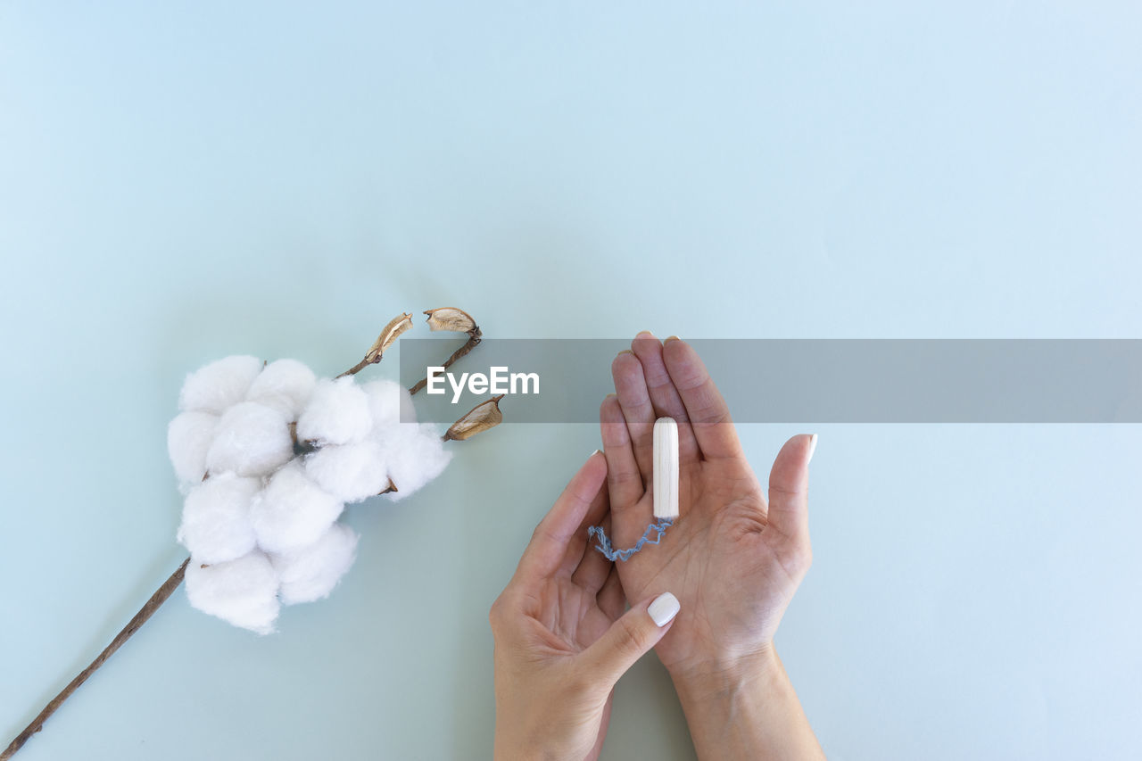 Woman hand holds a sanitary tampon with the cotton lying next to it