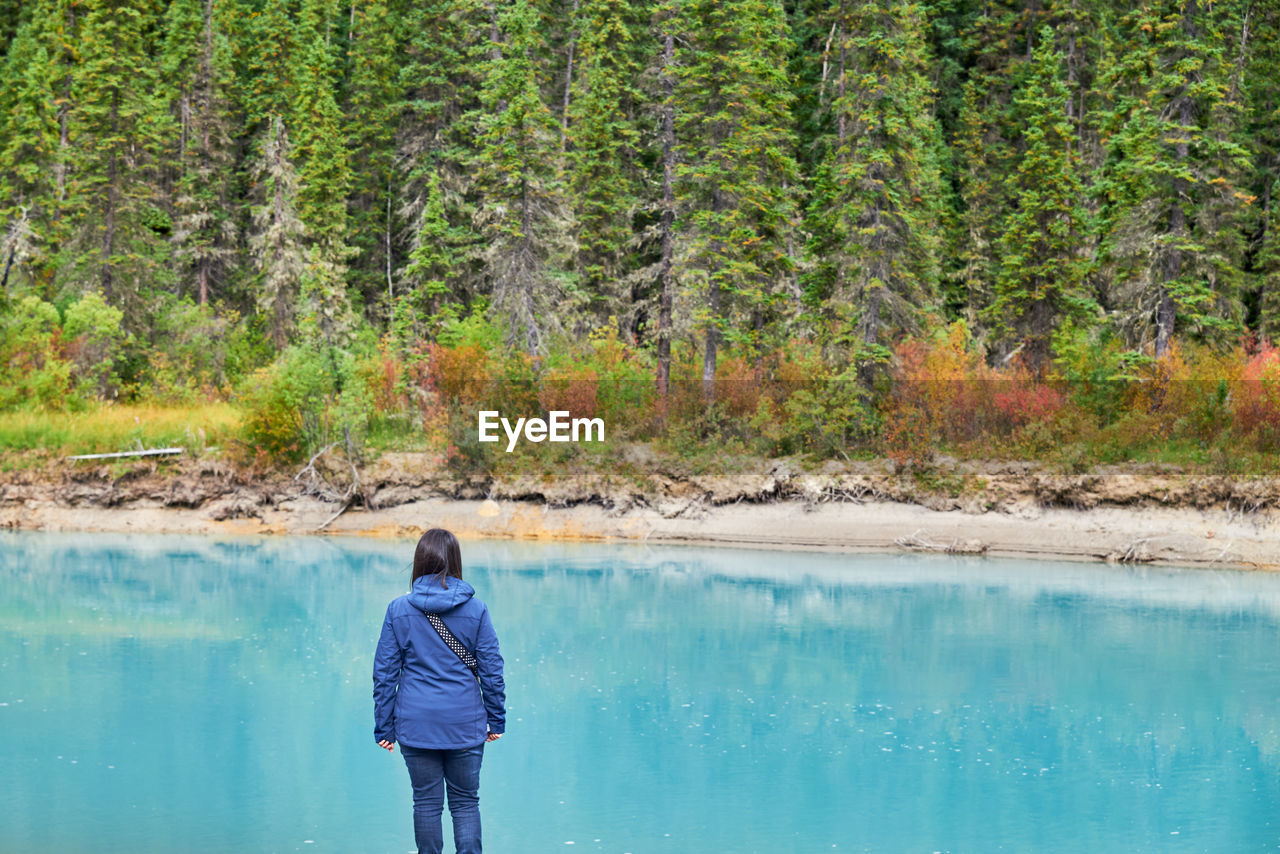 Rear view of woman looking at view while standing at banff national park