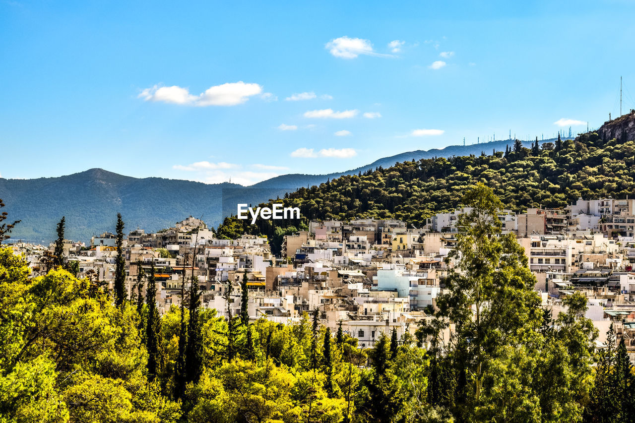 Panoramic shot of trees and plants against sky