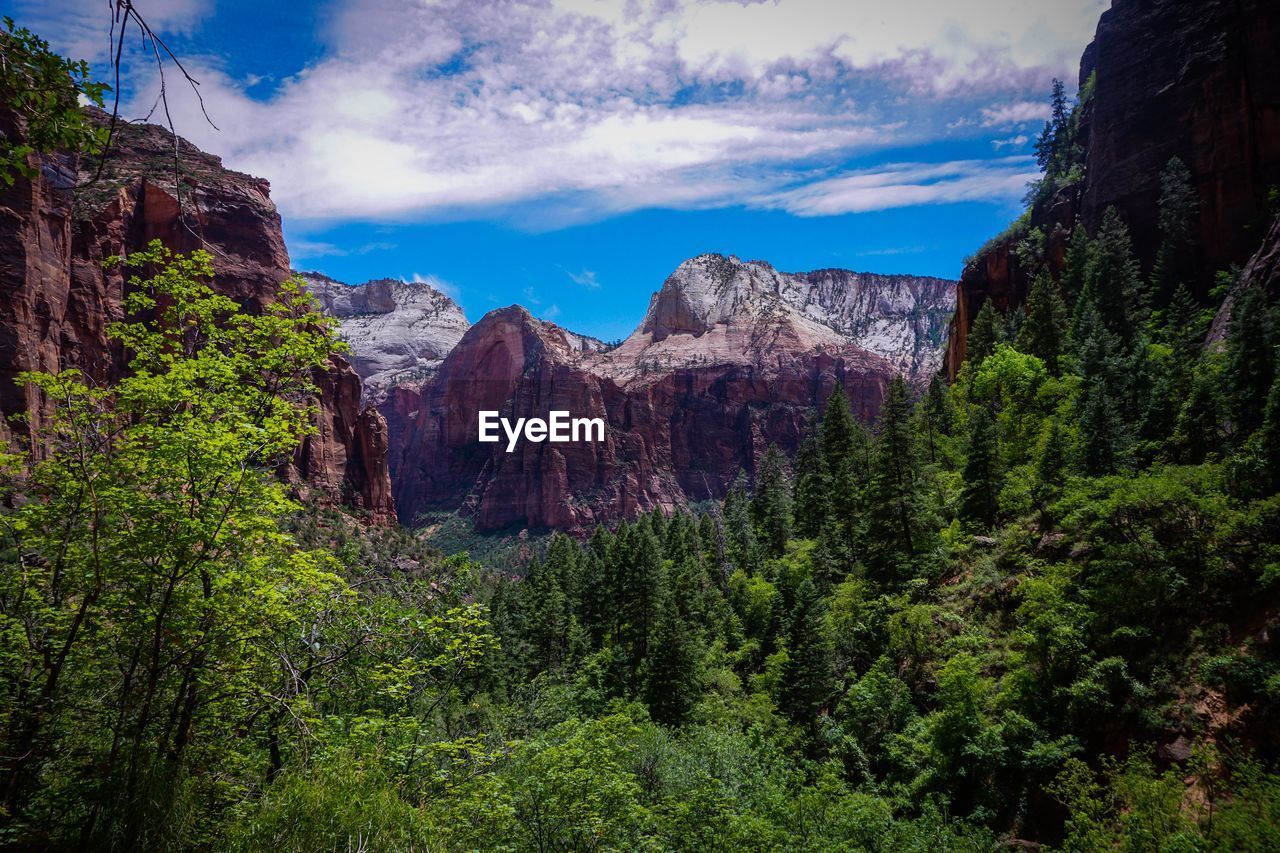 View of trees and rocks against cloudy sky