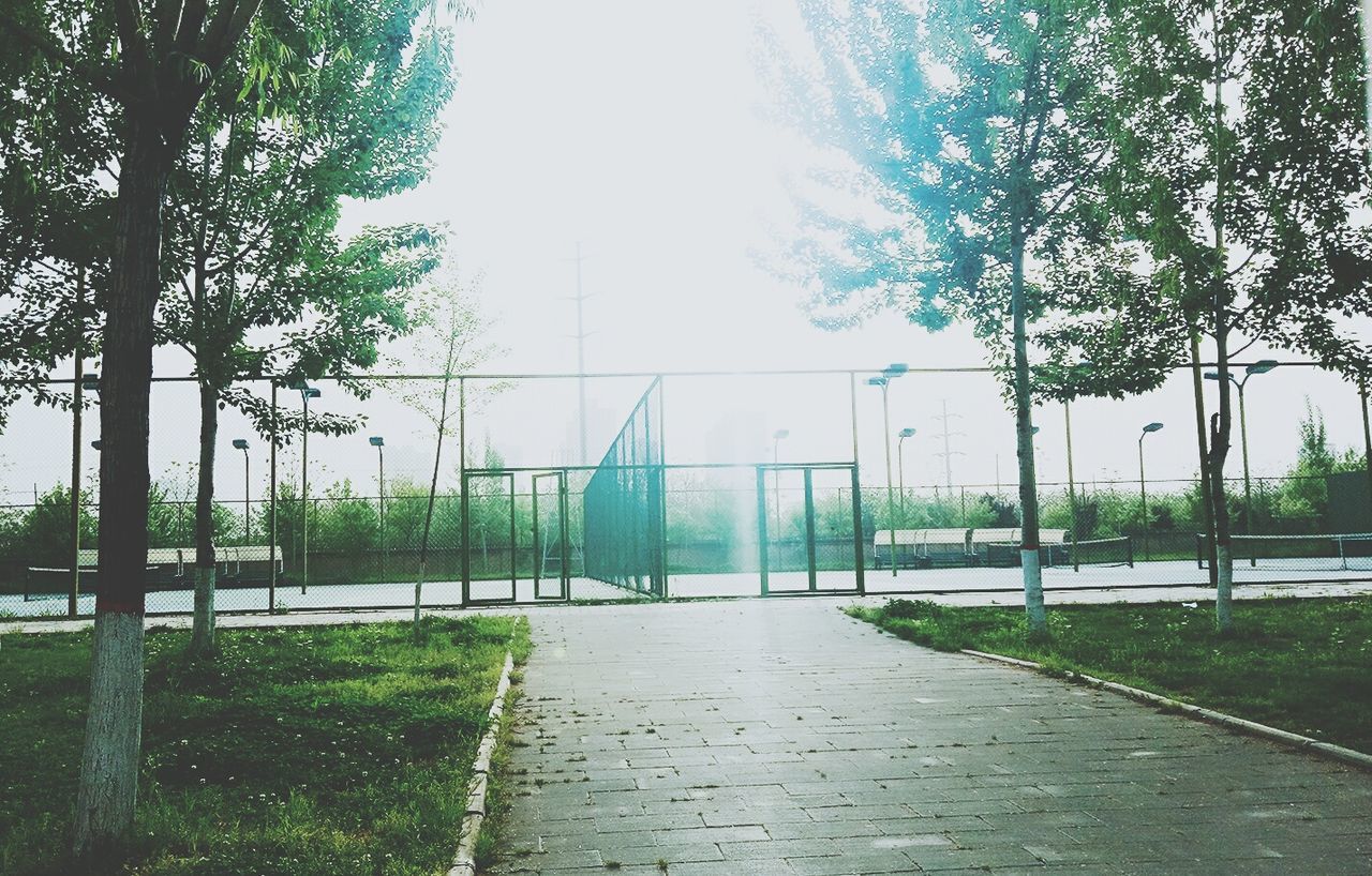 TREES IN PARK AGAINST SKY