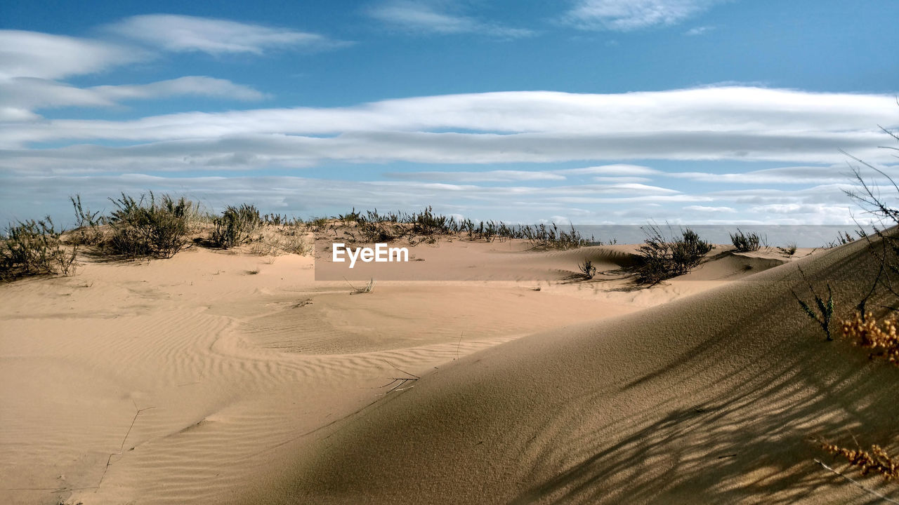 Scenic view of desert against sky