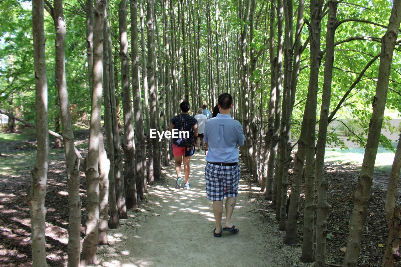 REAR VIEW OF PEOPLE WALKING ON FOOTPATH IN FOREST