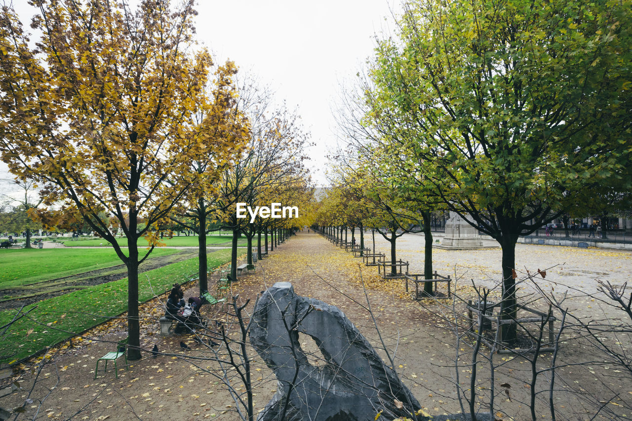 SCENIC VIEW OF PARK DURING AUTUMN