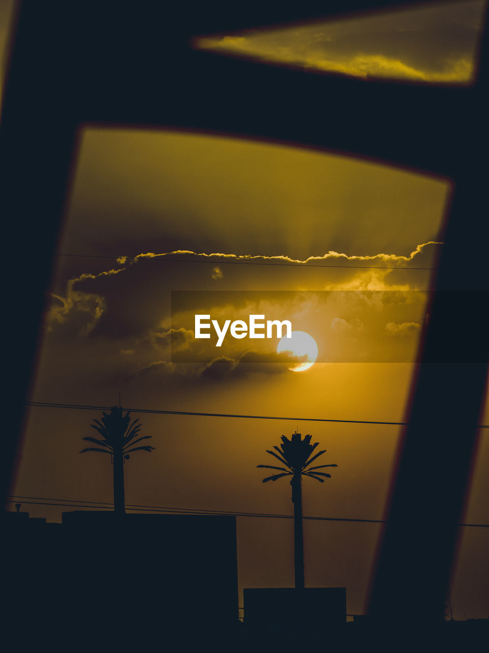 LOW ANGLE VIEW OF SILHOUETTE PALM TREES AGAINST SKY