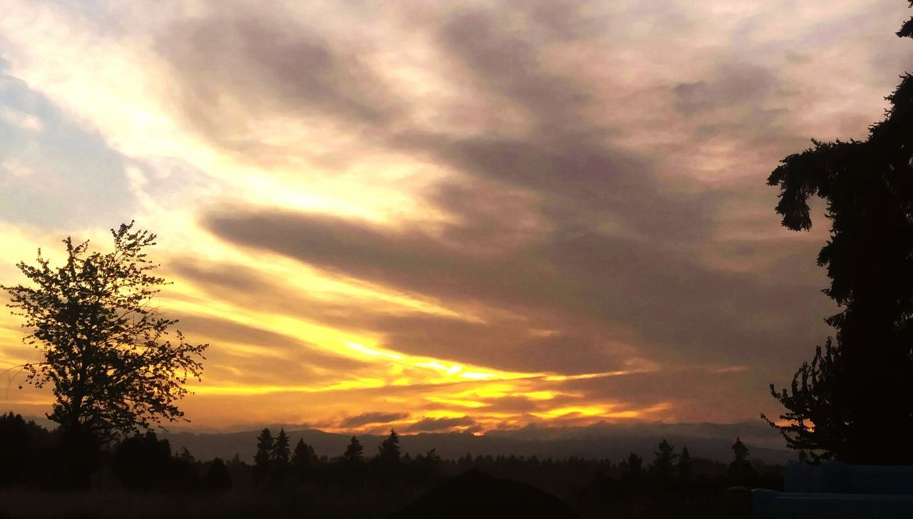 Silhouette trees on landscape against sky at sunset