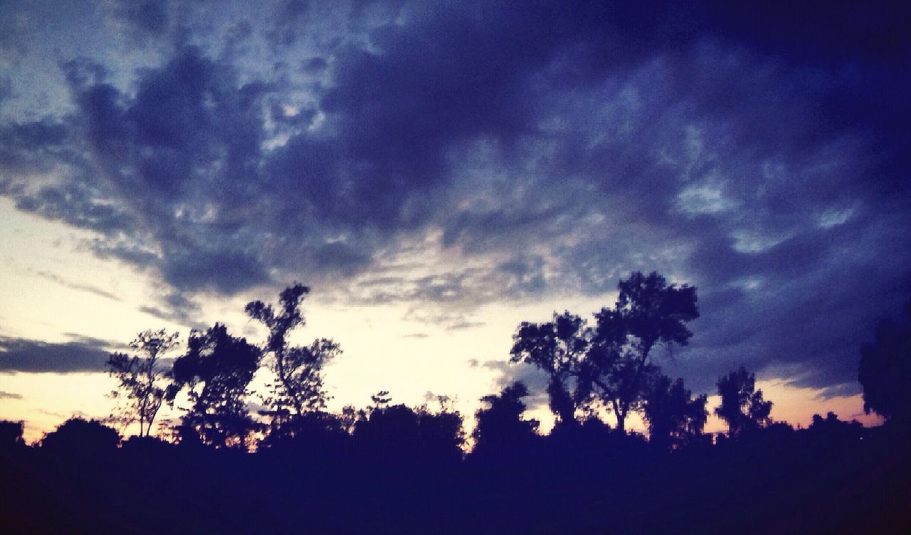 SILHOUETTE OF TREES AGAINST CLOUDY SKY