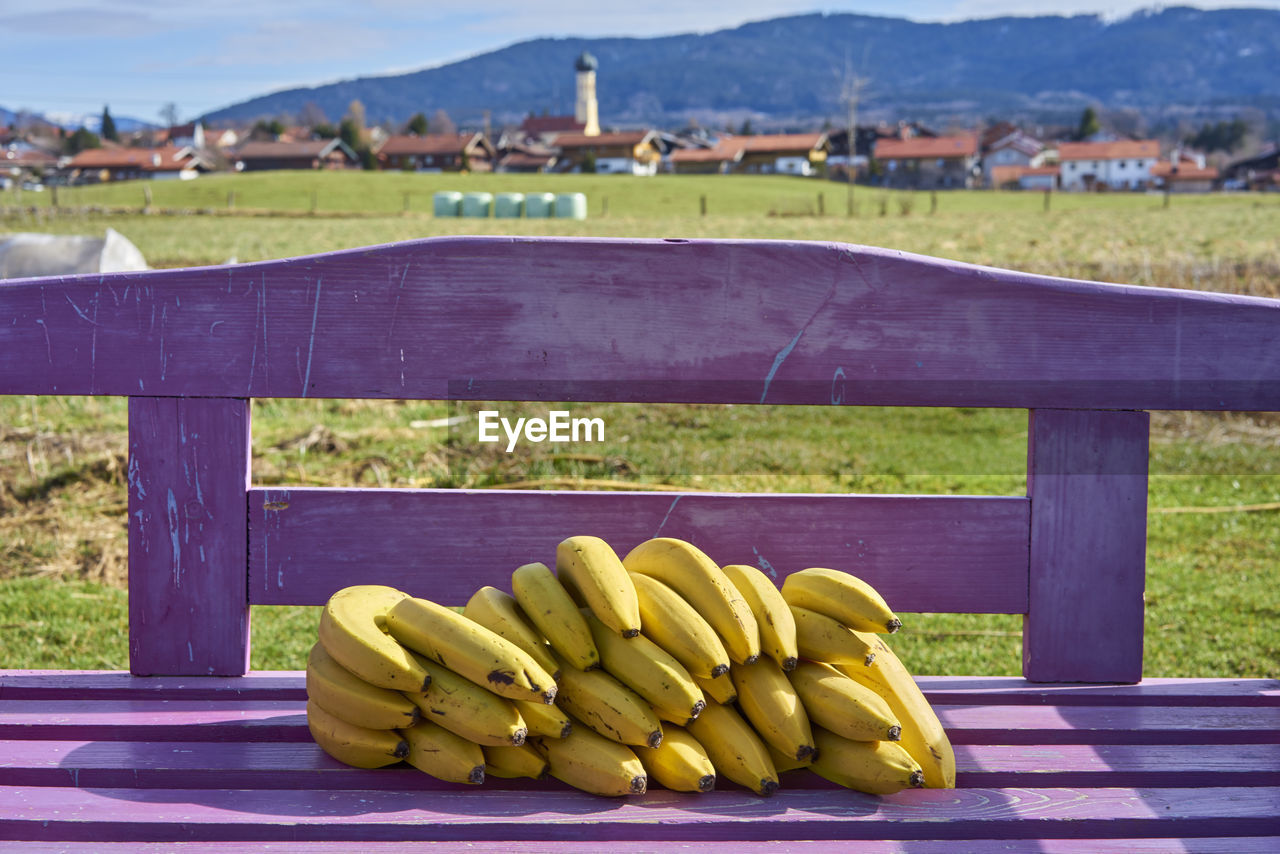 Bananas on purple bench on grassy field