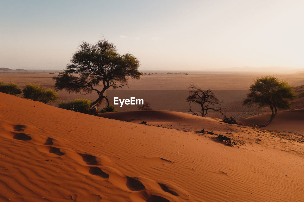 Scenic view of desert against sky