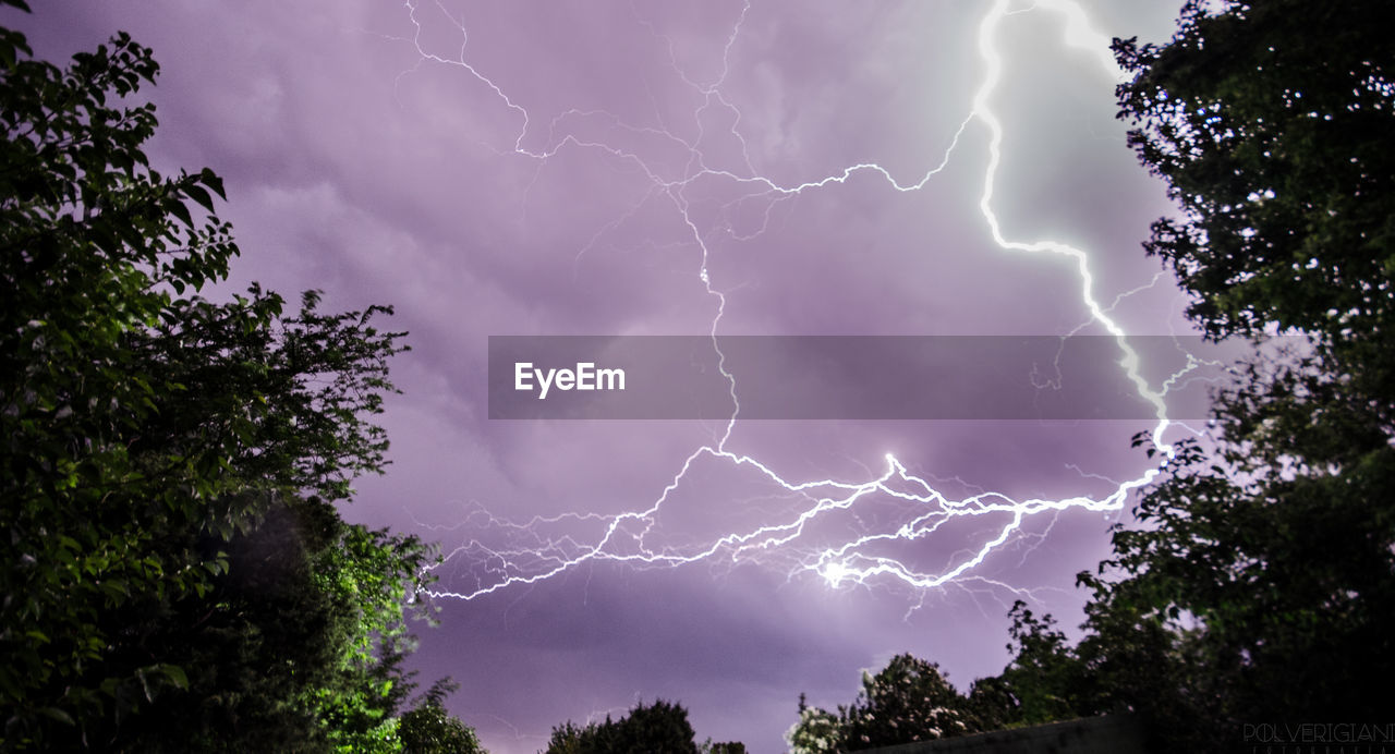 LOW ANGLE VIEW OF LIGHTNING OVER TREES