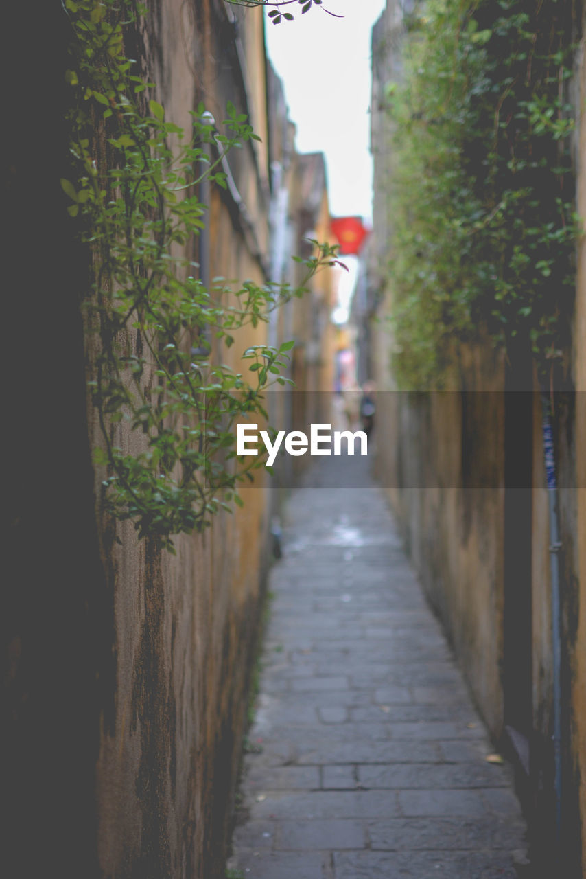 Narrow alley amidst buildings in city