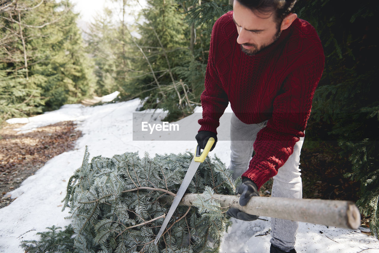 Mature man cutting branch with hand saw on snowy land