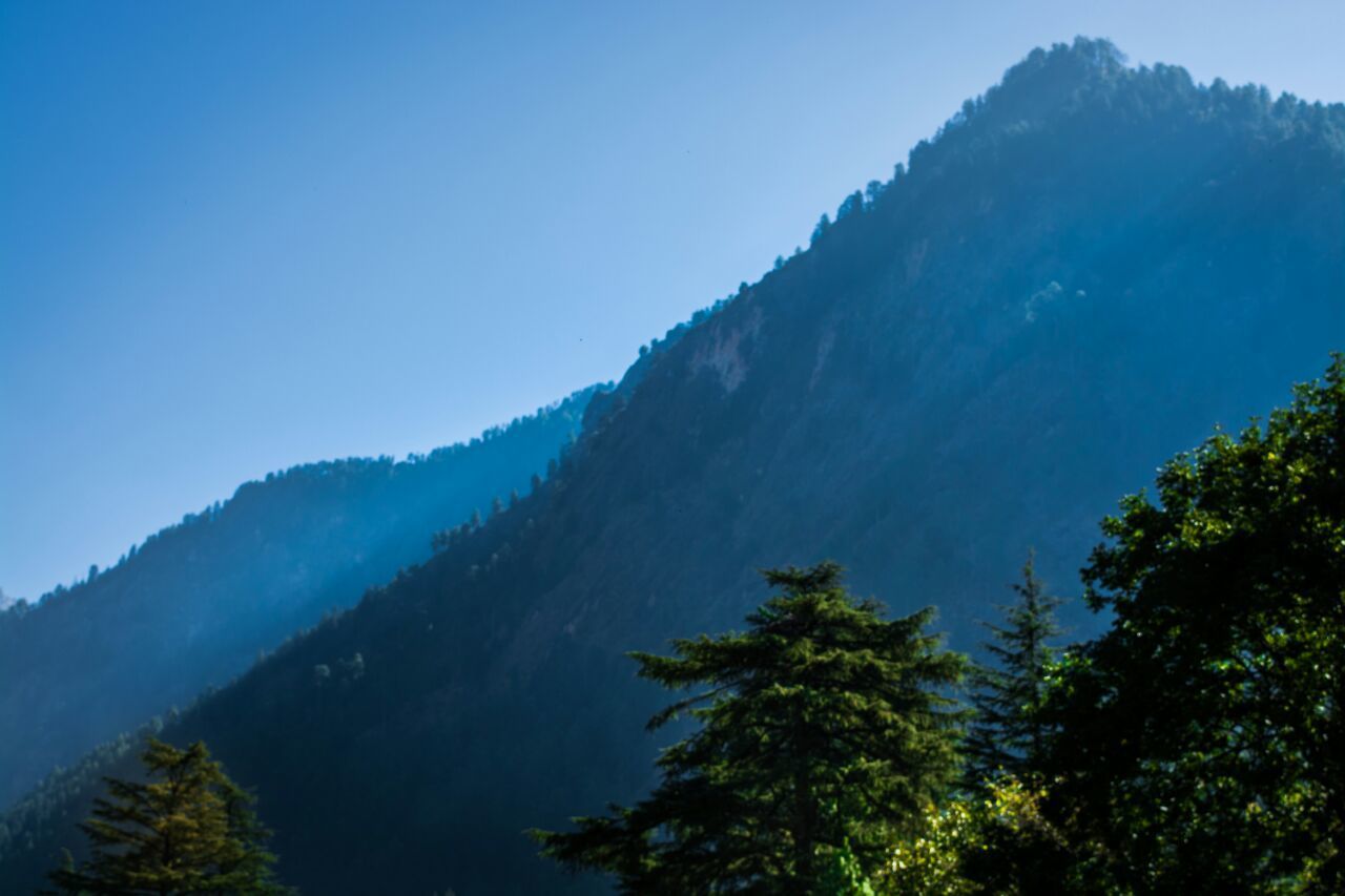 PINE TREES AGAINST MOUNTAIN RANGE