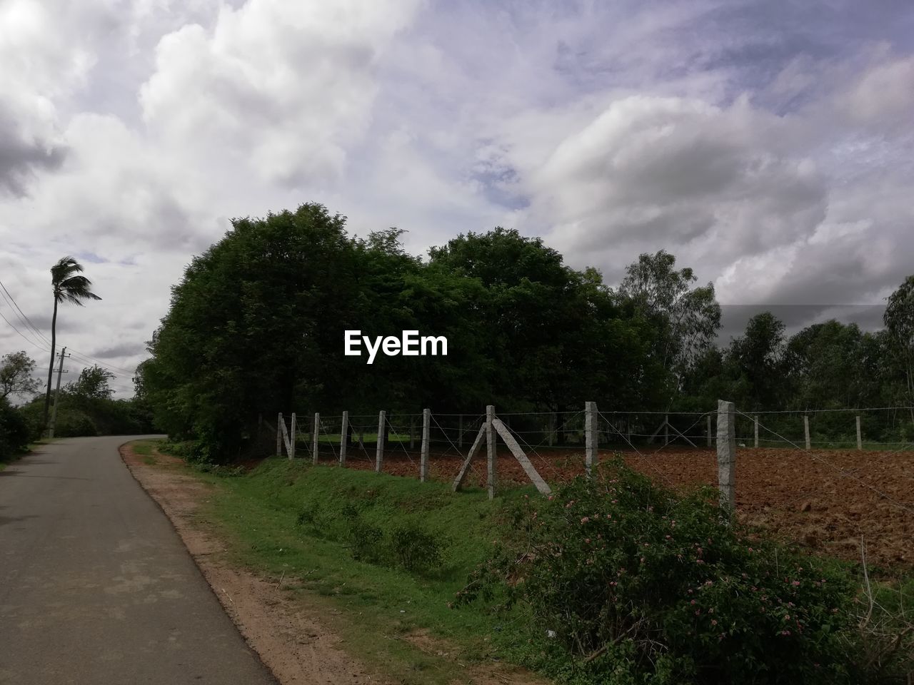 EMPTY ROAD AMIDST PLANTS AND TREES AGAINST SKY