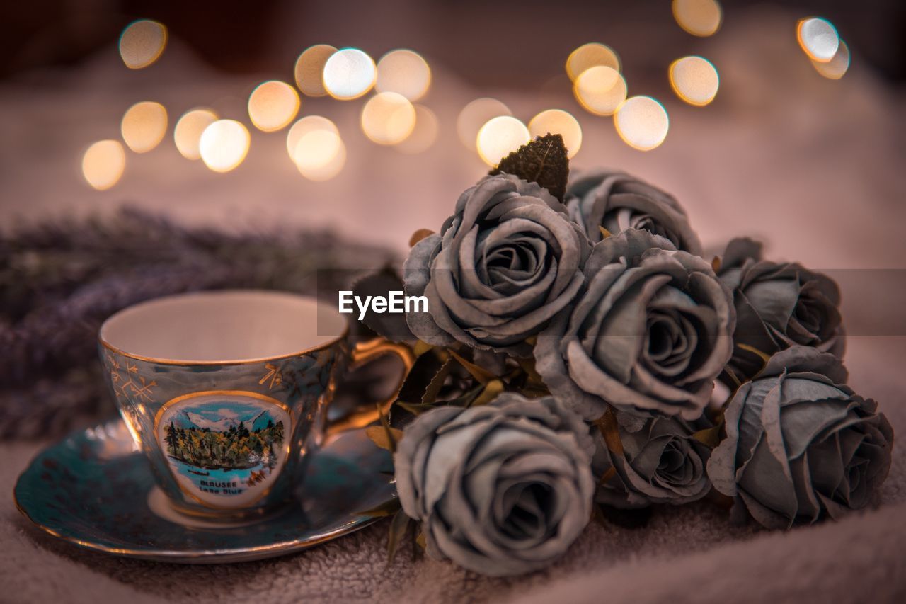 Close-up of rose on table