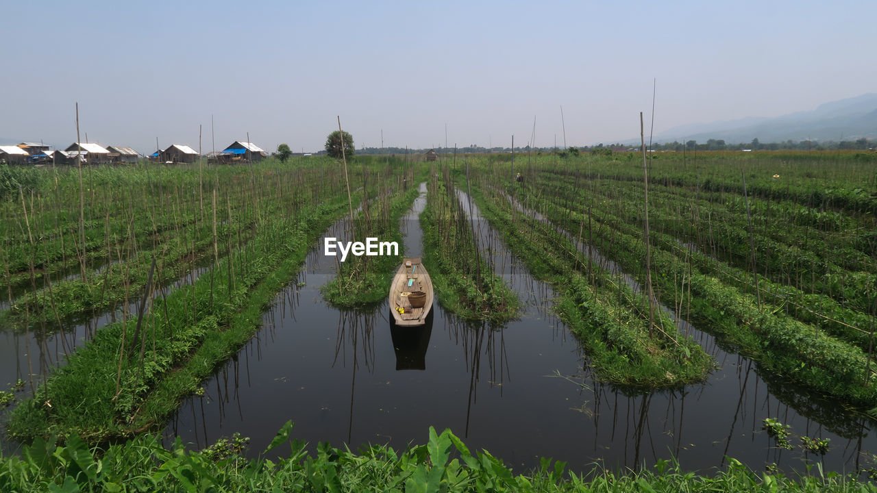 PORTRAIT OF MAN STANDING IN FIELD