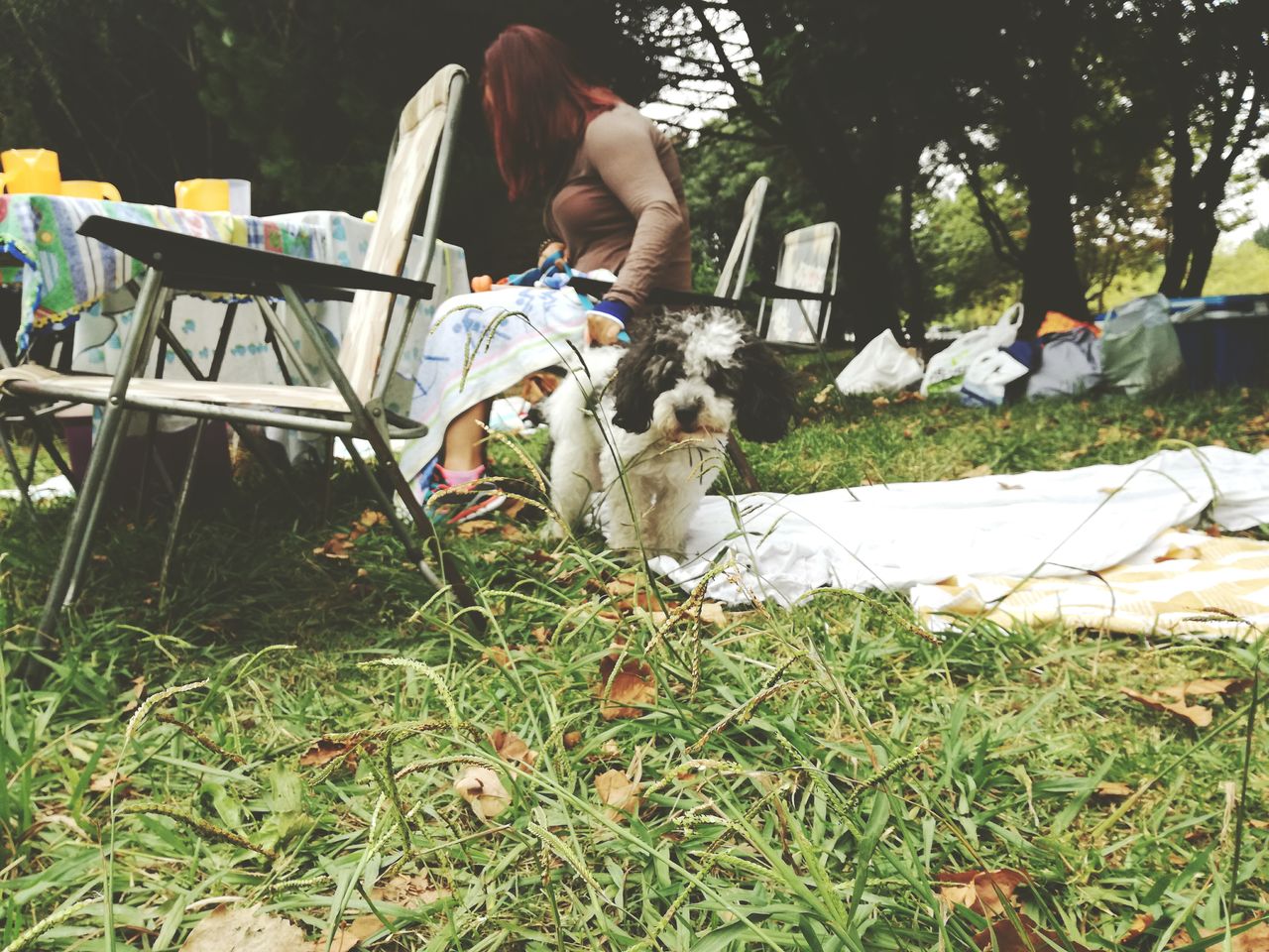 Woman with dog sitting on field