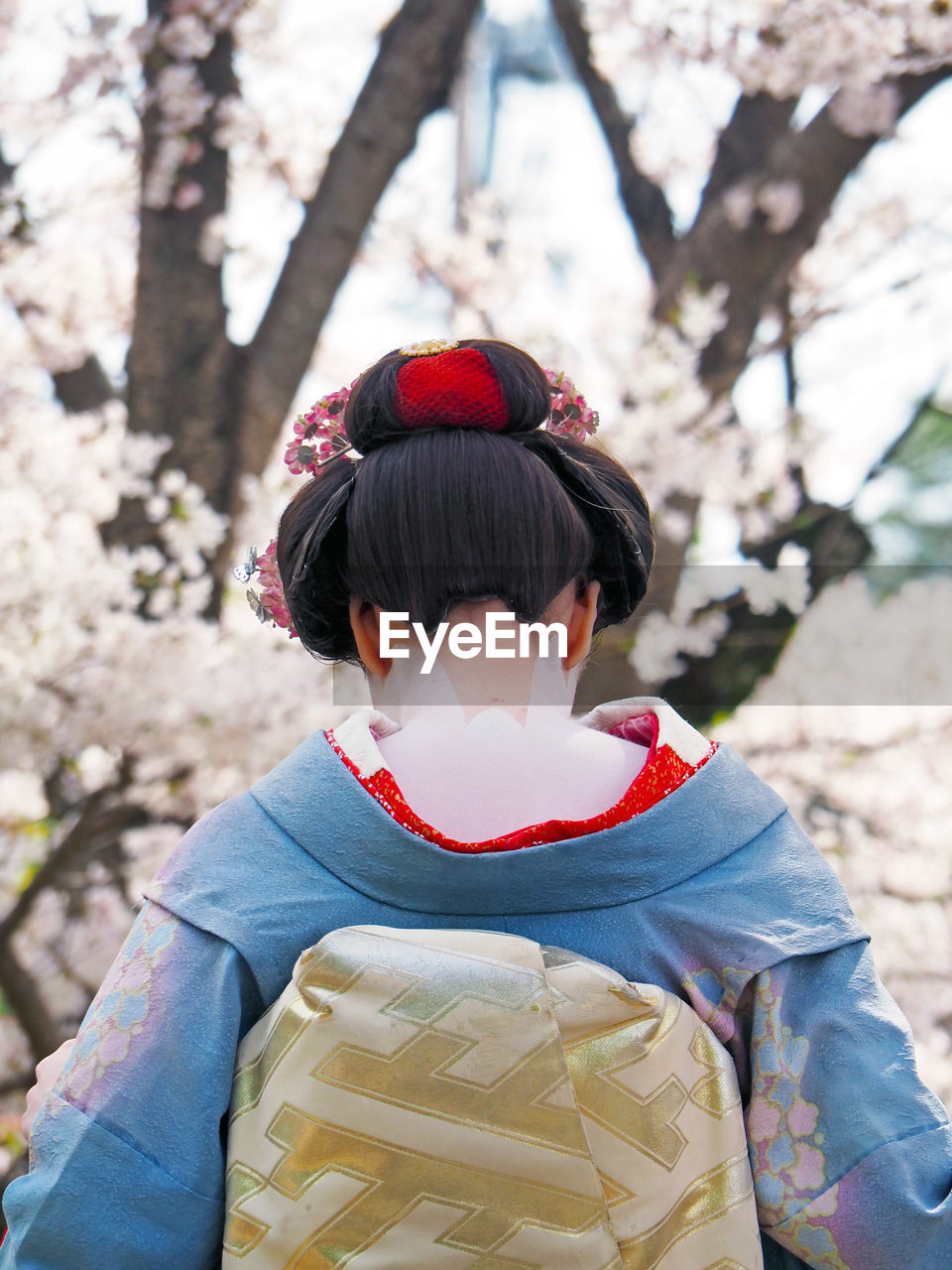 Rear view of woman wearing kimono against cherry tree