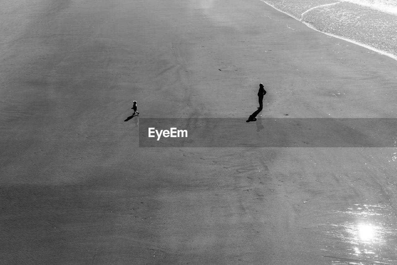 HIGH ANGLE VIEW OF PEOPLE ON LAKE DURING WINTER