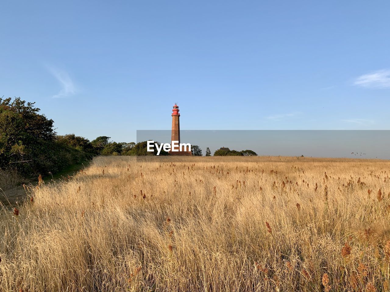 LIGHTHOUSE AMIDST FIELD AGAINST SKY