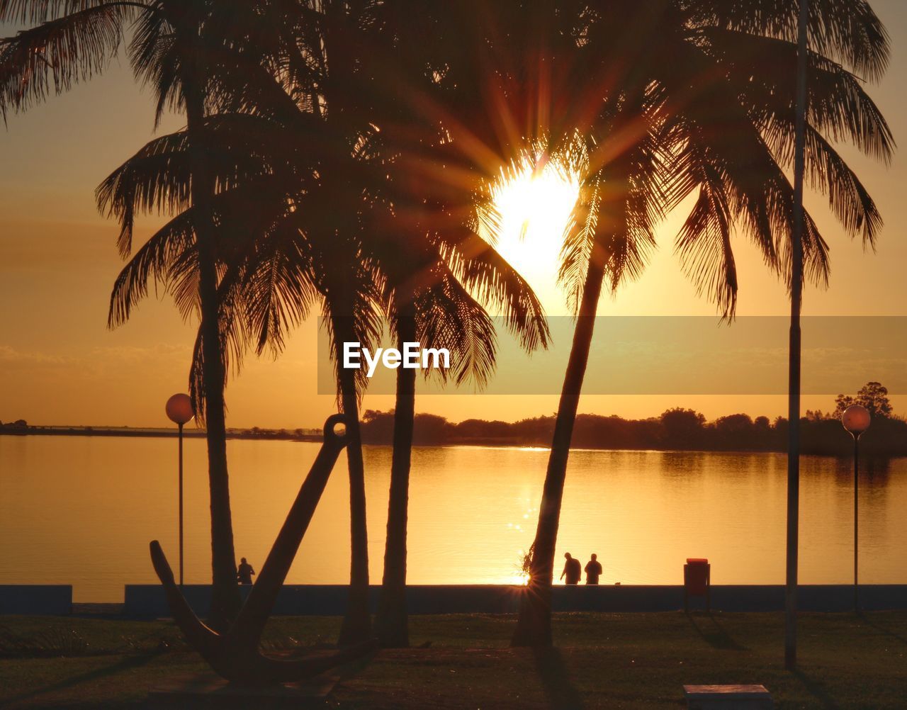 SILHOUETTE PALM TREES BY SWIMMING POOL AT SUNSET