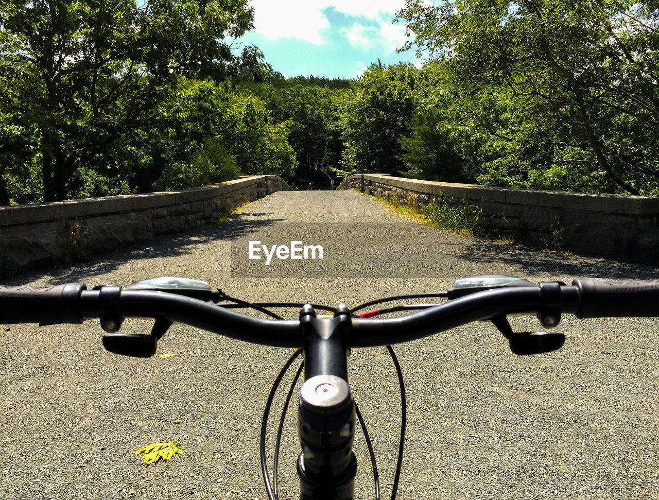 BICYCLE PARKED ON ROAD AGAINST TREES