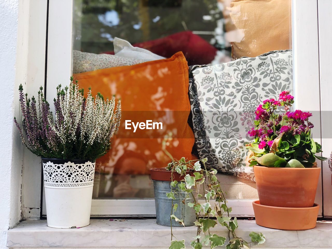 CLOSE-UP OF POTTED PLANT ON WINDOW