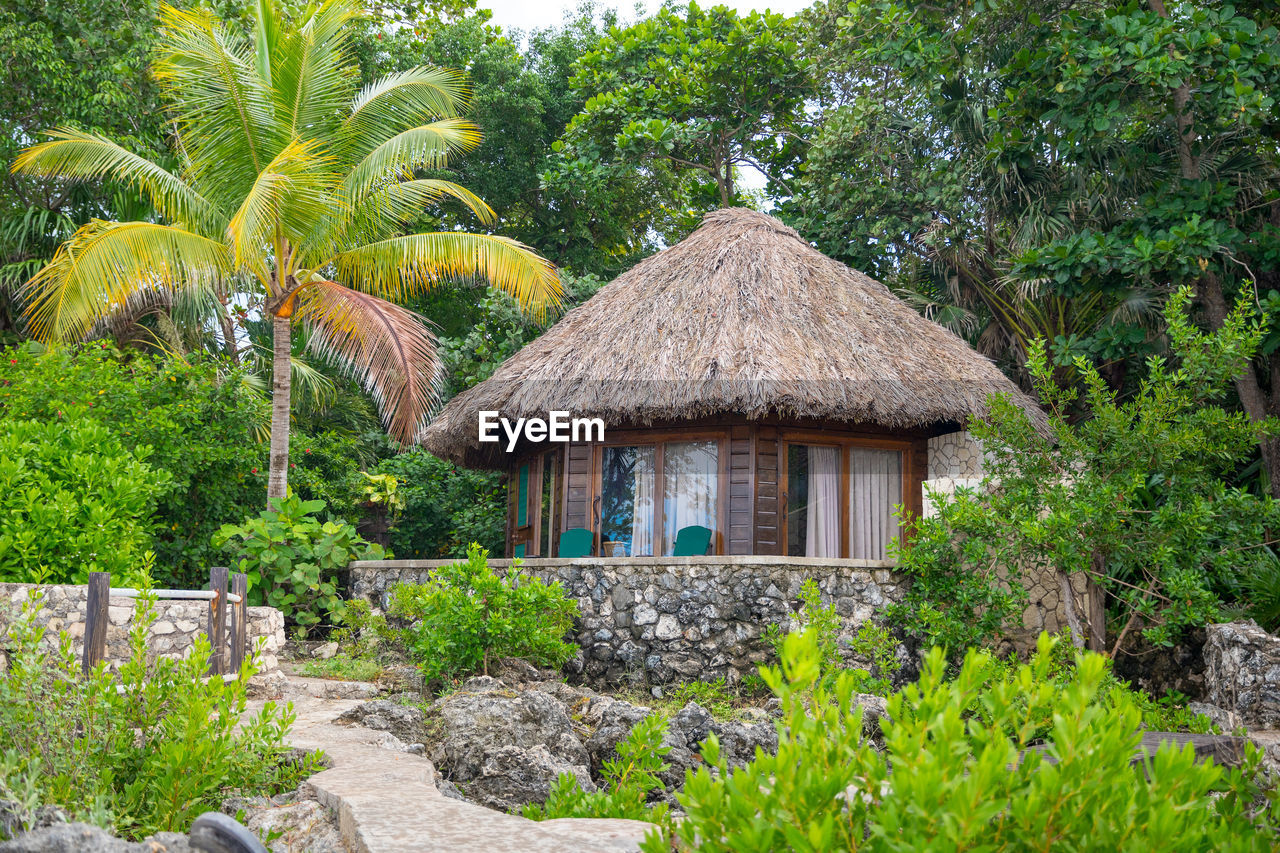 Beautiful caribbean thatched house on a cliff 