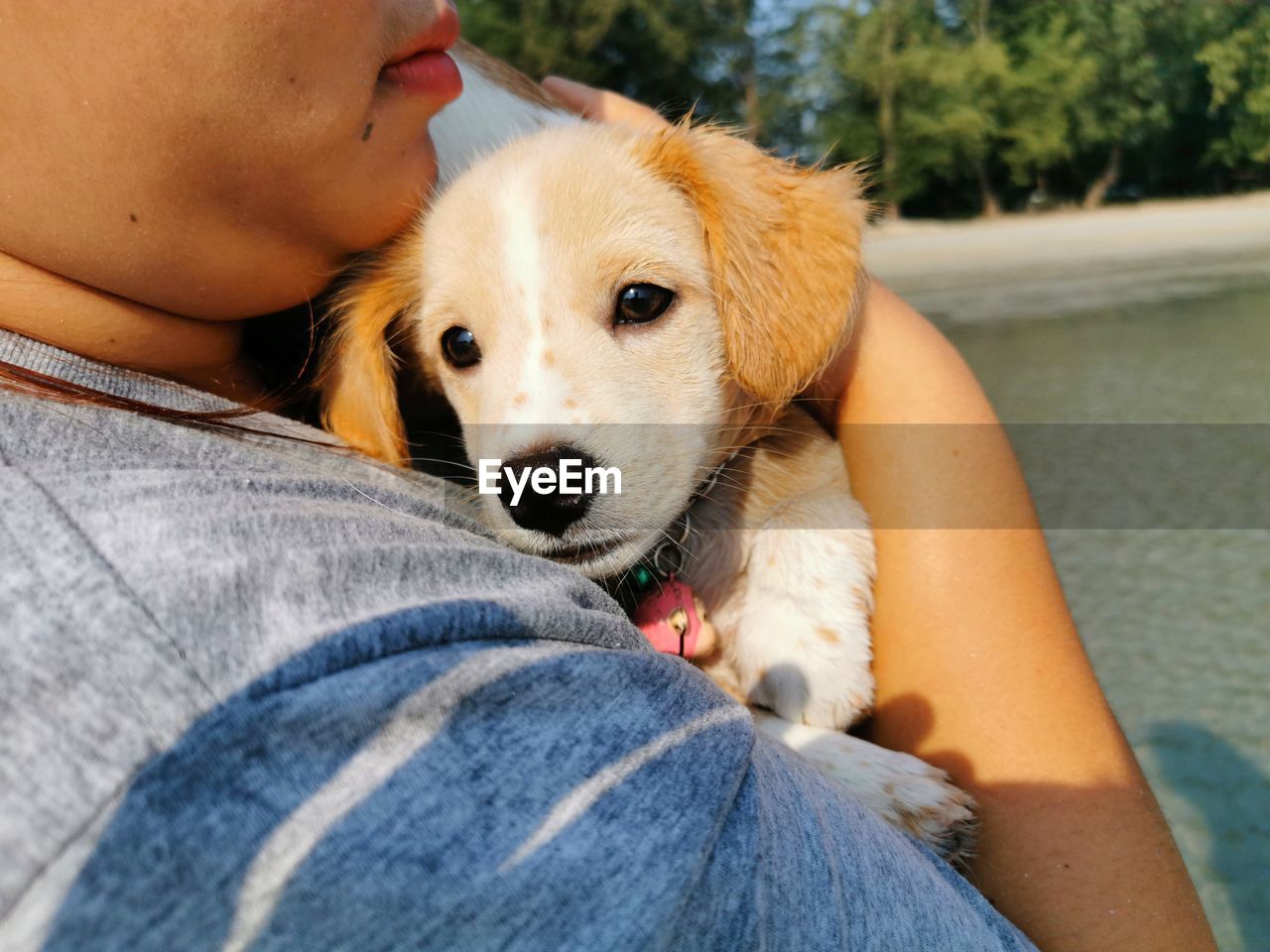 Midsection of woman hugging dog outdoors