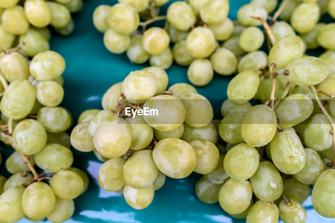 FULL FRAME SHOT OF GRAPES IN CONTAINER