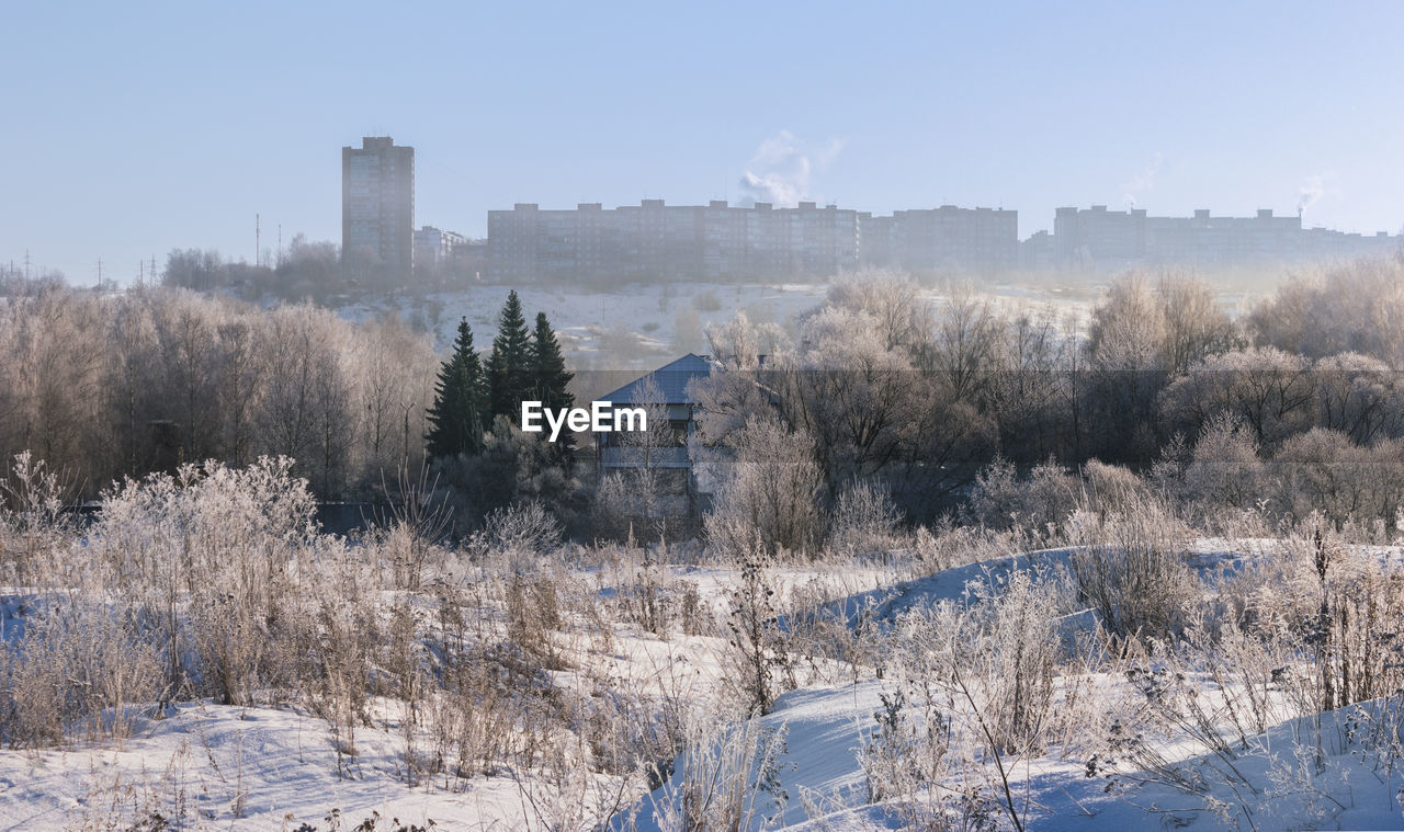 Trees and buildings against sky during winter