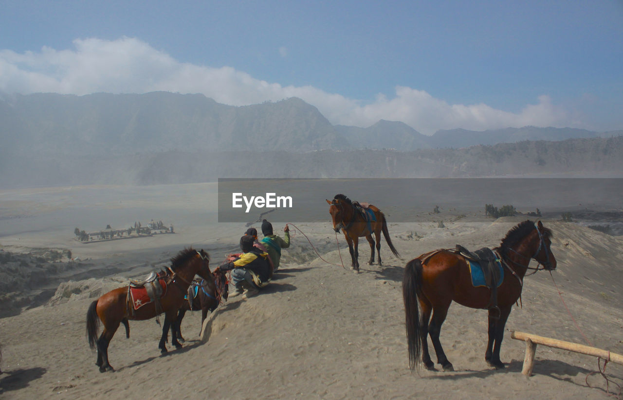 GROUP OF PEOPLE RIDING HORSES ON MOUNTAINS